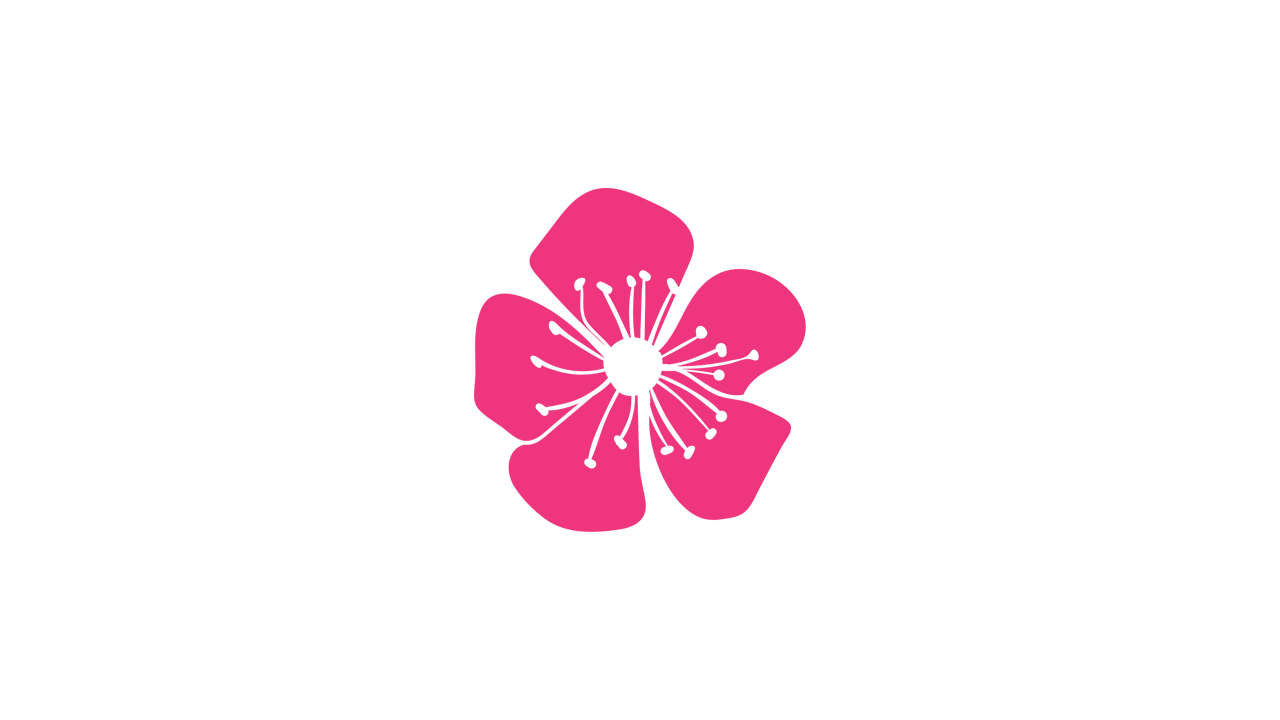 WSDP — Women's Self-Defence Perth